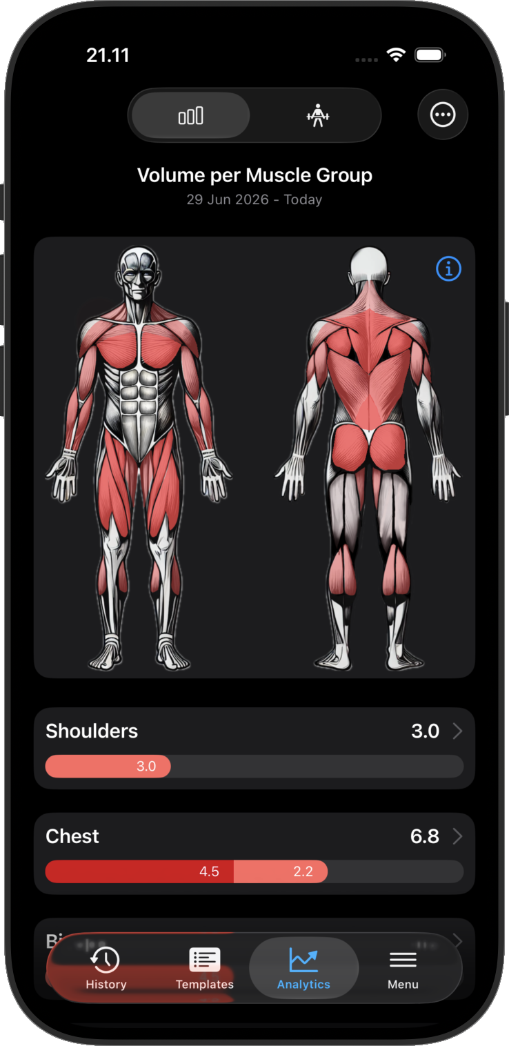 Gym Log muscle map showing training volume by muscle group